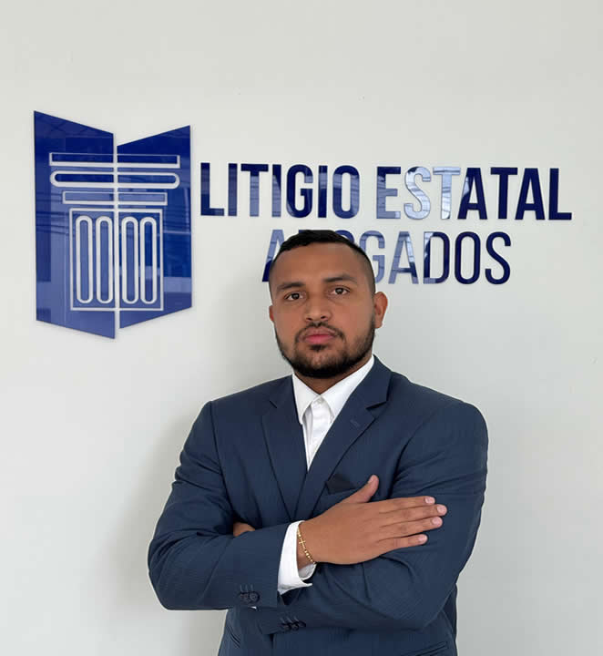 Litigio estatal Abogados